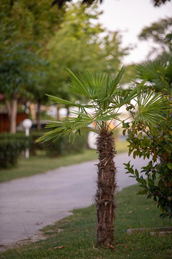 Camping Stolos Hotel Limin Litochorou Bagian luar foto